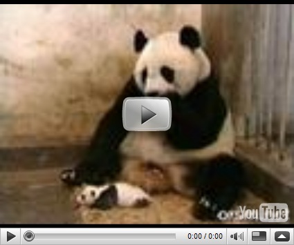 Meatederisa.es con PARTY & CO EXTREME - 3 - elfinalde