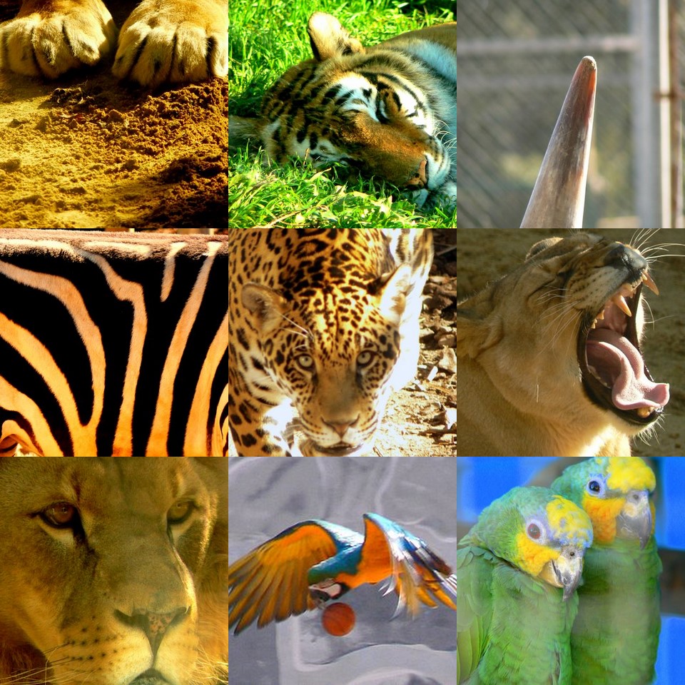 Primer premio en concurso fotográfico